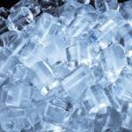 WhatsApp Image 2026-01-20 at 12.07.34 PM